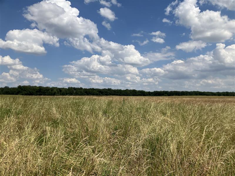 Parc éolien de Saint-Florentin