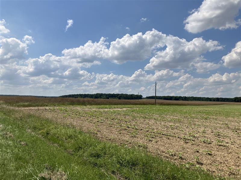 Parc éolien de Saint-Florentin
